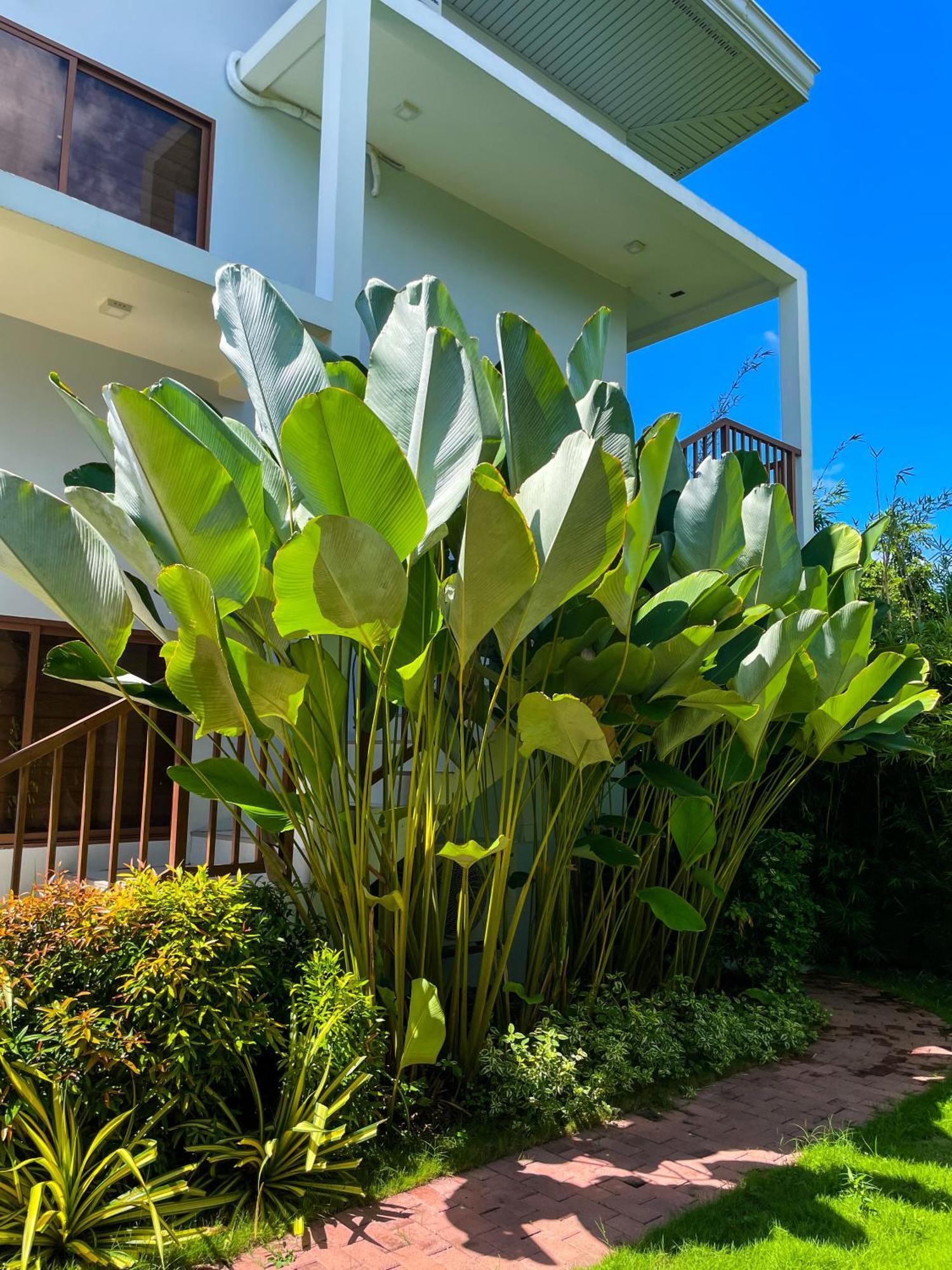 Red Picnic Hostel Panglao-stad Buitenkant foto